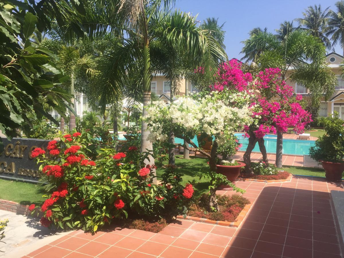 Areca Resort Mũi Né Buitenkant foto